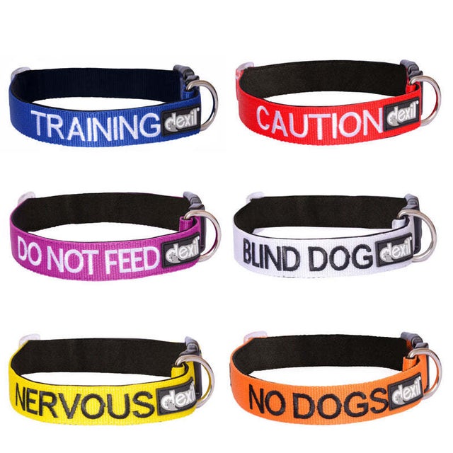Dog collar warning colours best sale