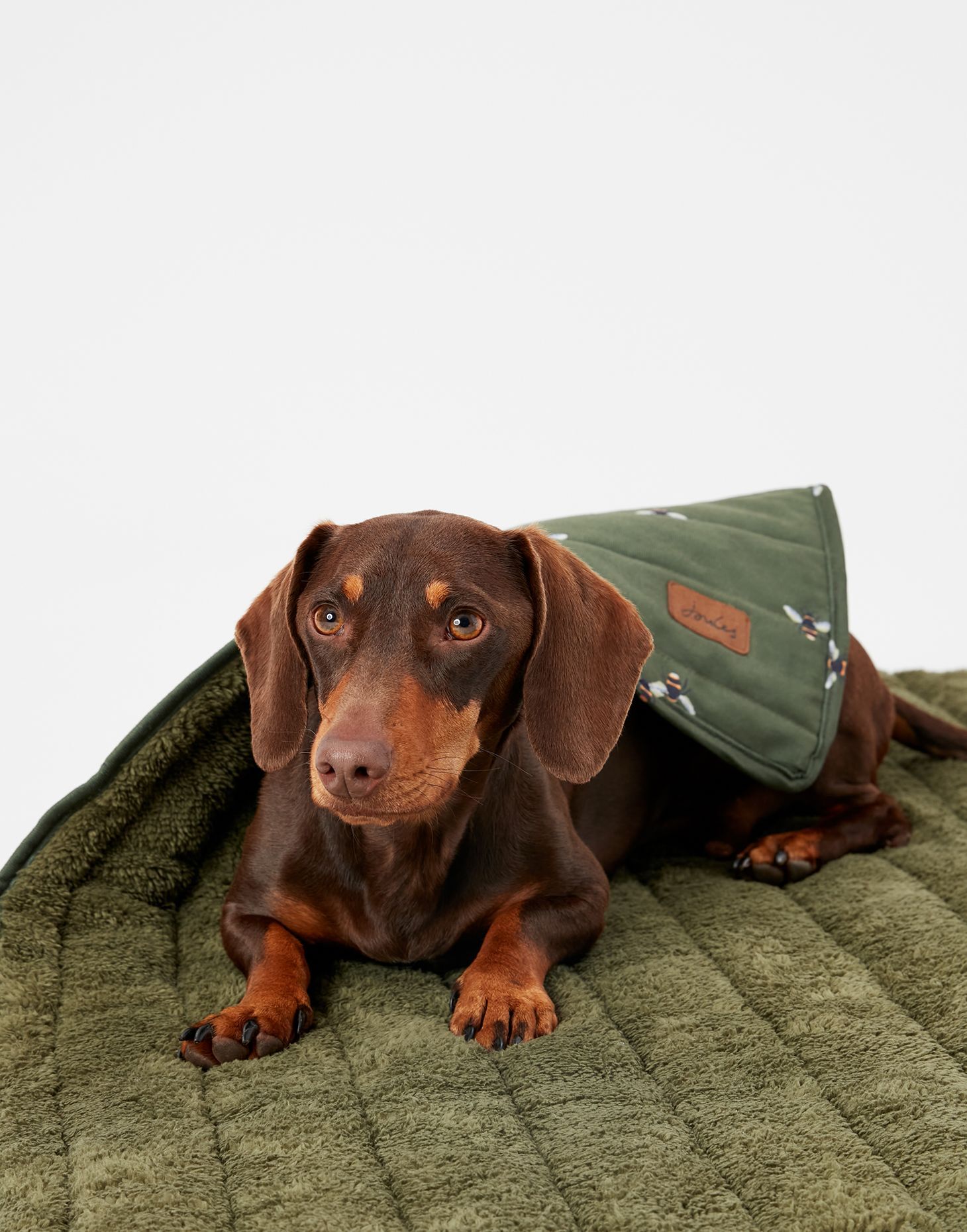 Joules dog blanket clearance