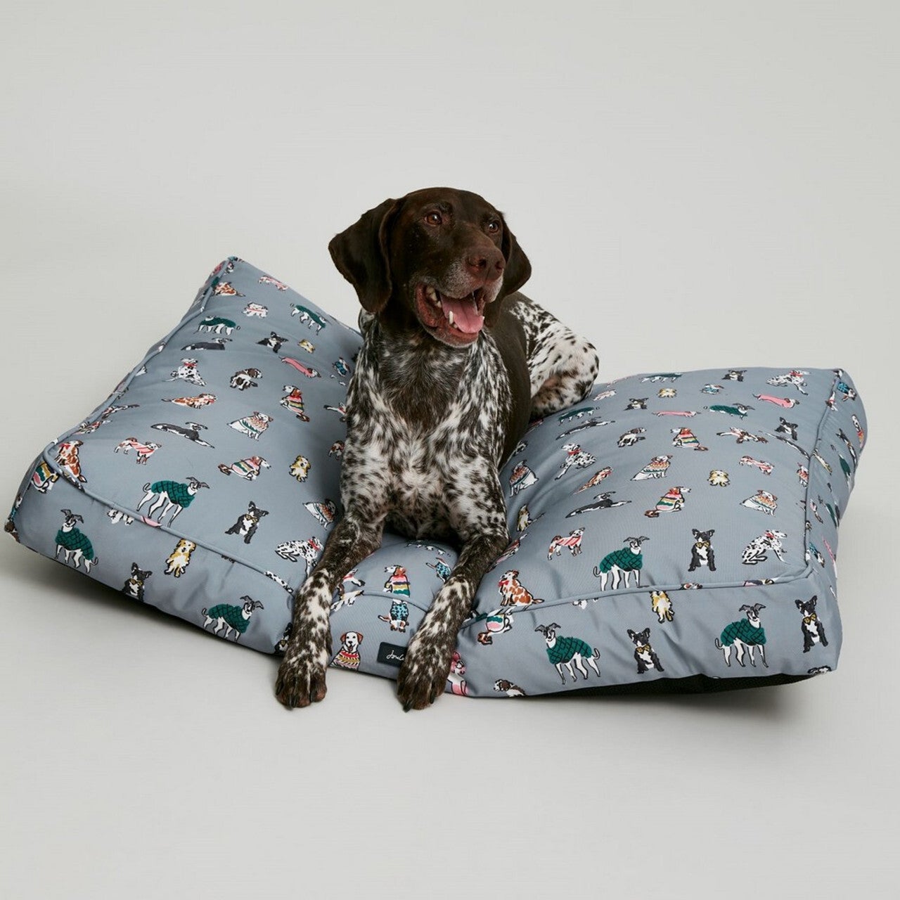 Joules travel nap pet bed cheap
