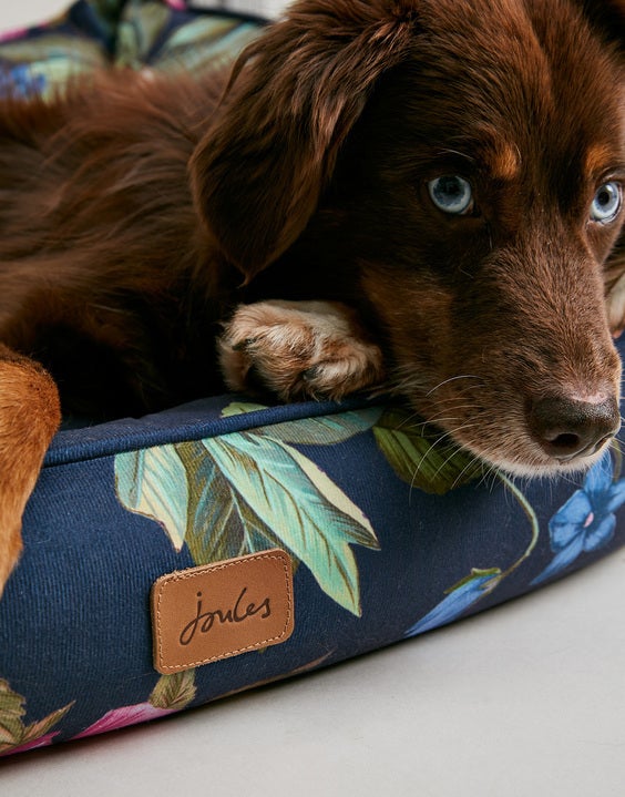 Joules dog mattress online