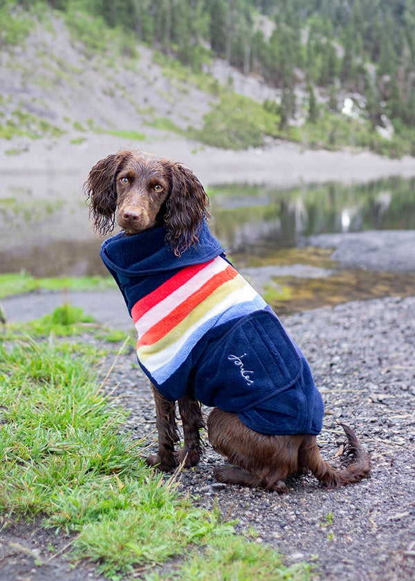 Joules dog coat online