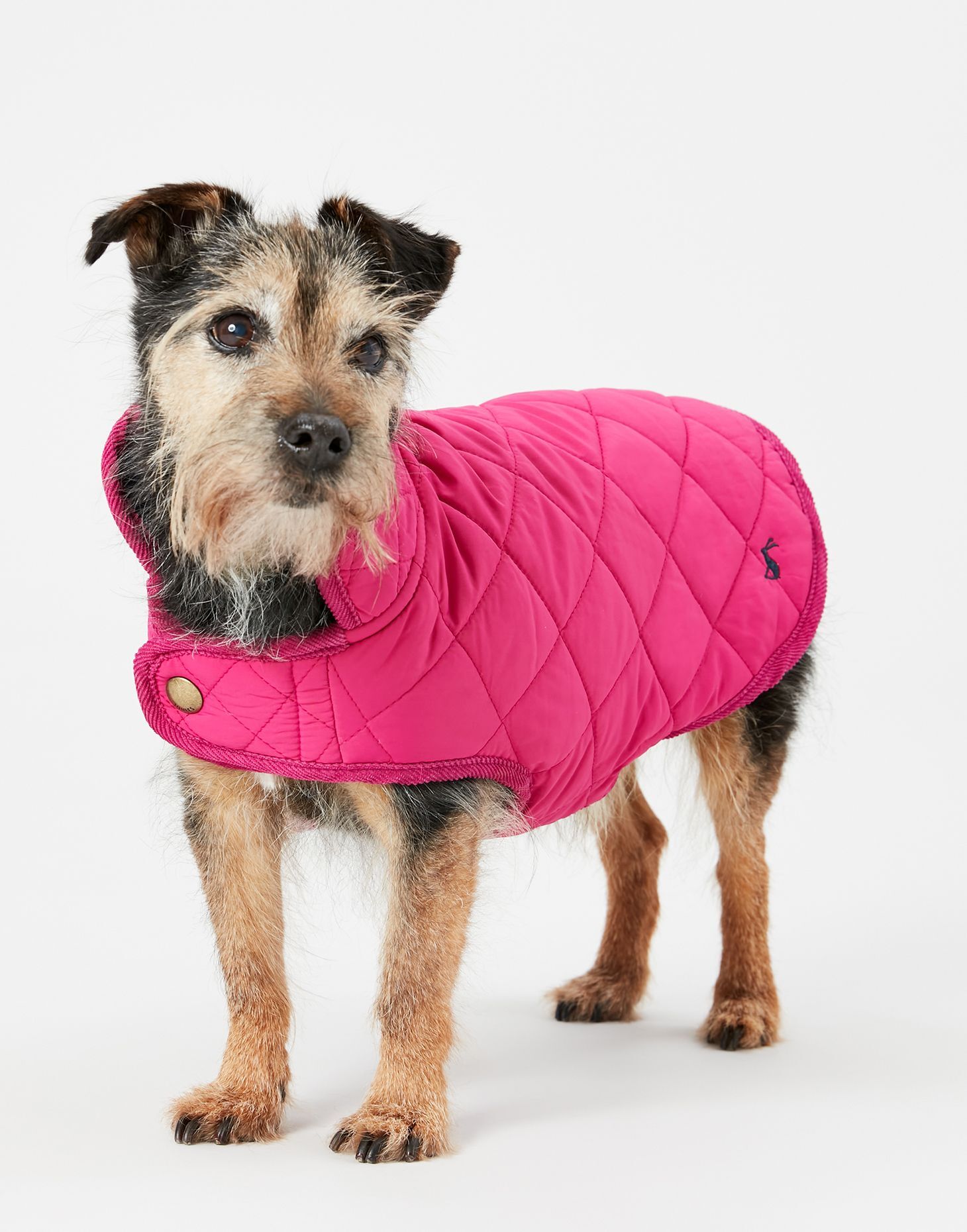 Joules raspberry coat store