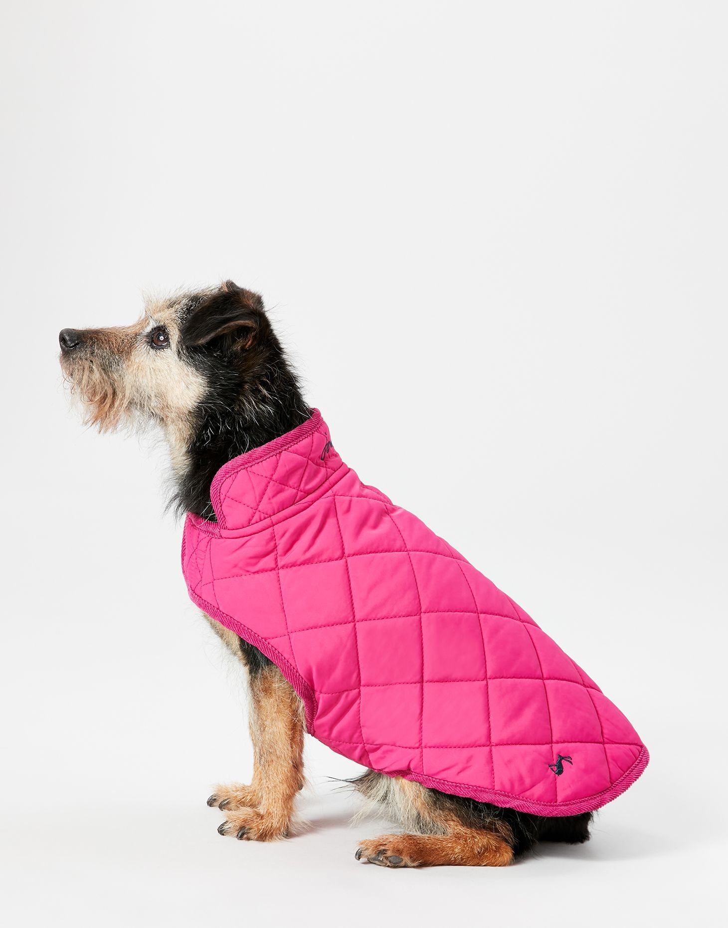 Joules raspberry coat discount